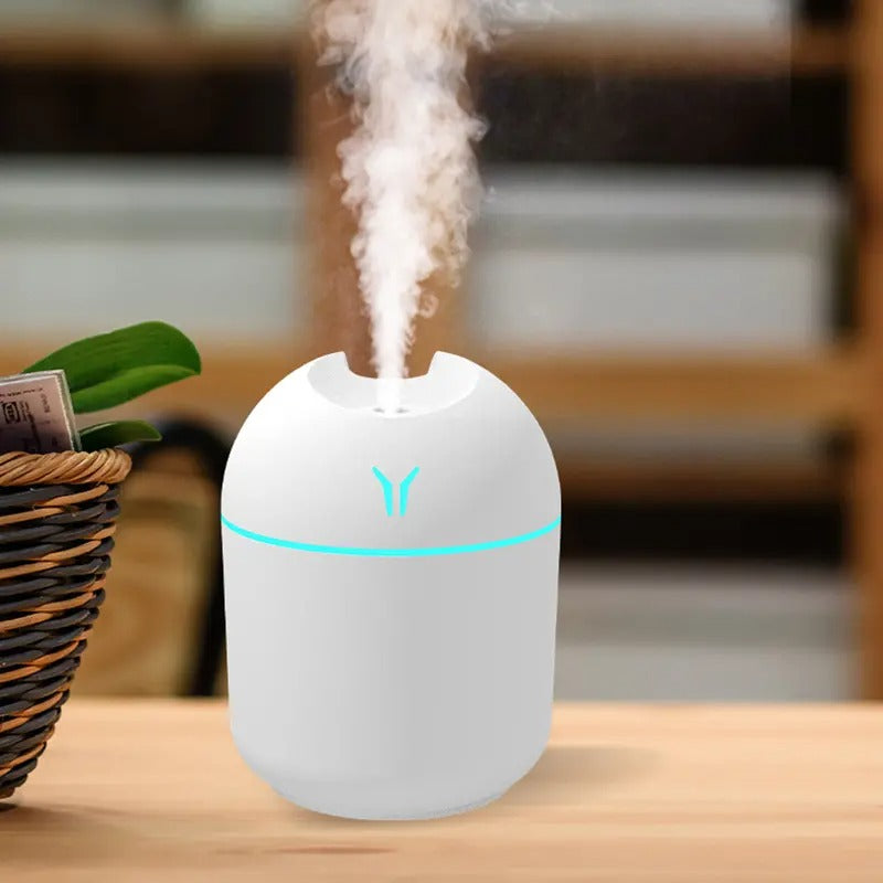 Chic LED Cool Mist Humidifier