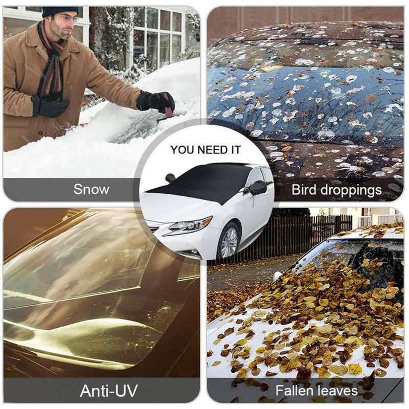 Auto Snow Shield