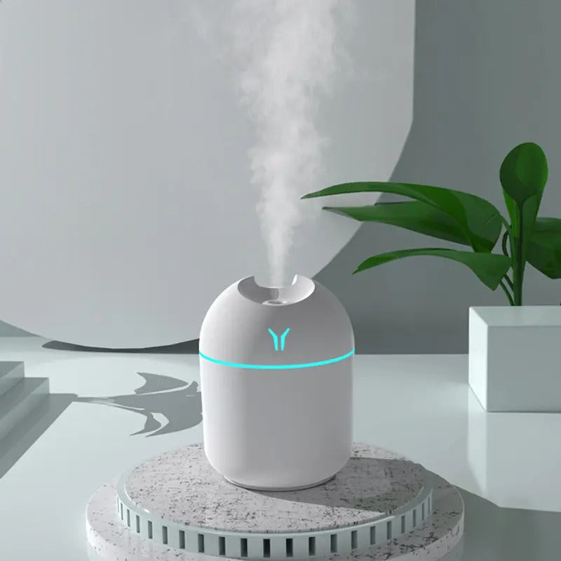 Chic LED Cool Mist Humidifier